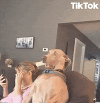 Silly-face GIFs - Get the best GIF on GIPHY