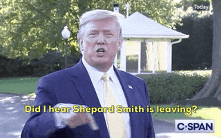 Donald Trump Shep Smith GIF