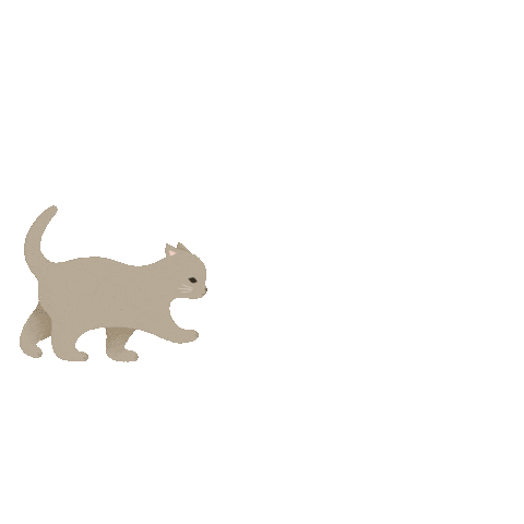 Cat Sticker