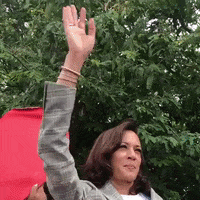 Kamala Harris Has Made History GIFs - Get the best GIF on GIPHY