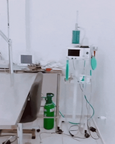 Clinica Toque de Amor Veterinaria GIF