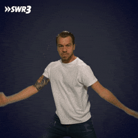 Fight Me Kung Fu GIF by SWR3