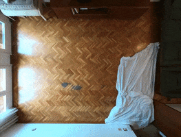 Home GIF