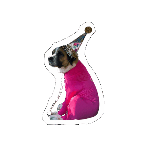Animated Sticker