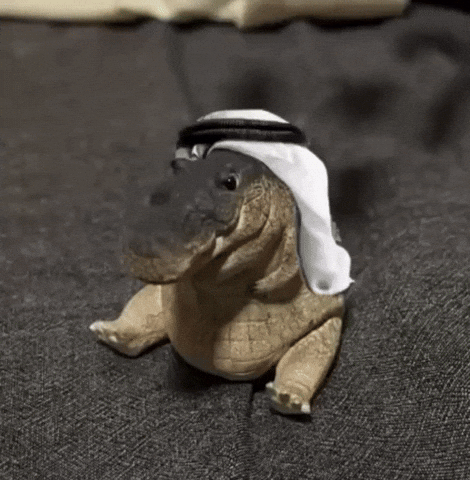 Money Bitcoin GIF