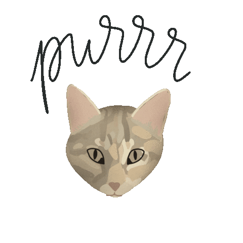 Cat Sticker