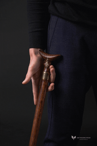 Walking Cane GIF