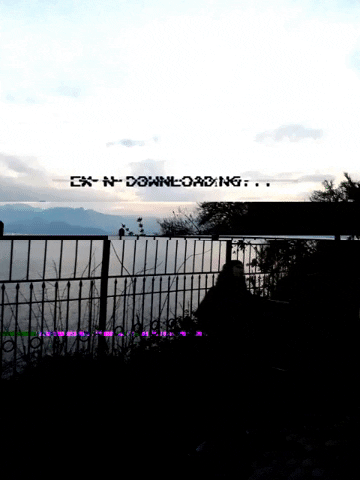 Exn GIF