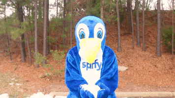 Get Spiffy, Inc. GIF