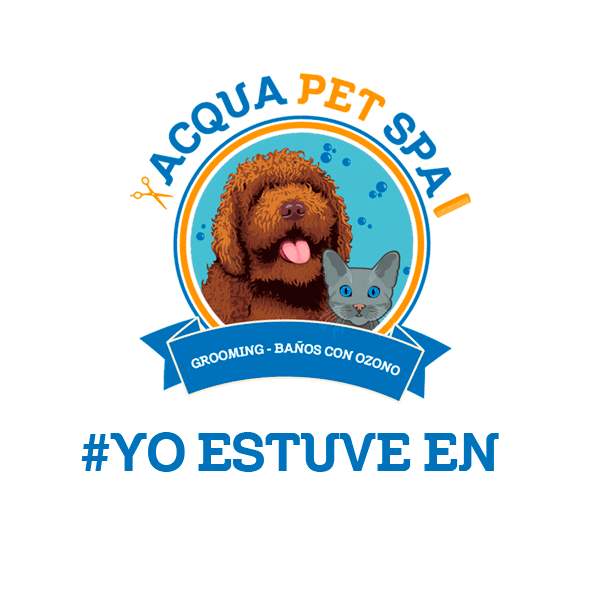 Acqua Pet Spa GIFs Find &amp; Share on GIPHY