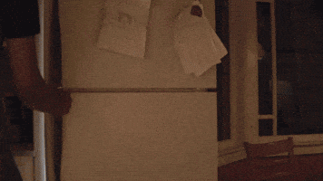 Party Fridge GIF by Meow Wolf