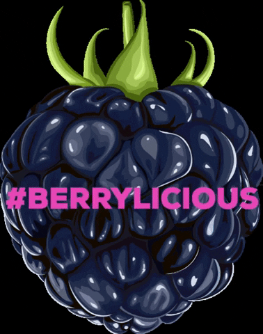 RazzandJazz raspberry berrylicious razzandjazz berrylovers GIF