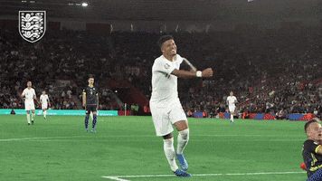 Three Lions Smiling GIF by England