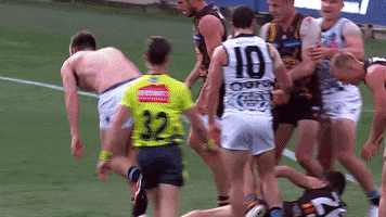 Football Afl GIF by Port Adelaide FC