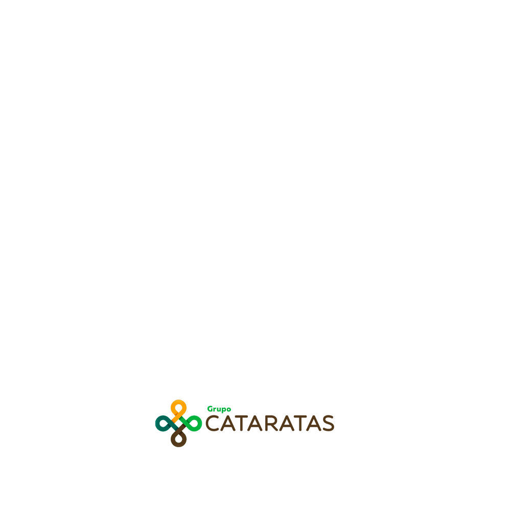 Grupo Cataratas Sticker
