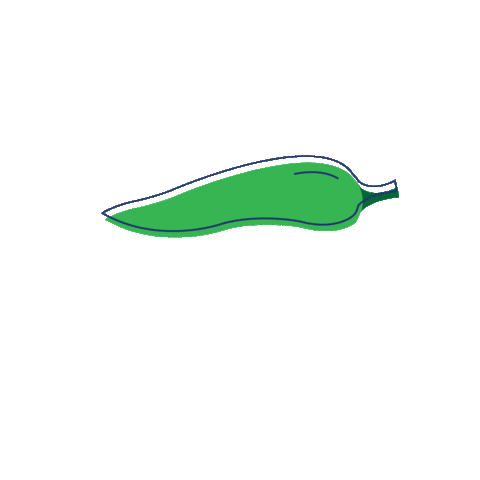 Green Pepper Taco Sticker by Blue Apron
