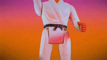 Karate Kid Reaction GIF
