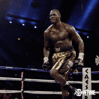 Deontay Wilder Boxing GIF by SHOWTIME Sports