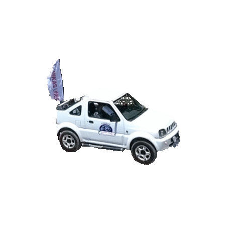 Finikas Lines Sticker