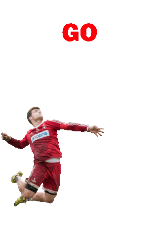 IFA Fistball Sticker