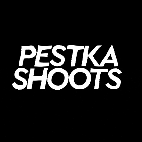 Pestka Shoots GIF