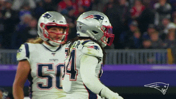 High Five Adam Butler GIF by New England Patriots