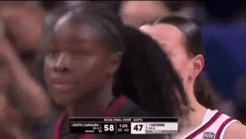 Gamecocks GIF