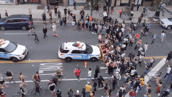 200.gif?cid=fc005b08703078c8bc26552720d1c42a4df8dd97220a72d1&rid=200.gif&ct=g
