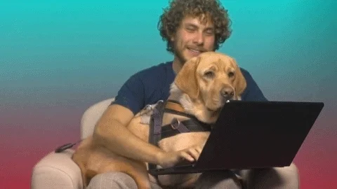 Dog Laptop GIF
