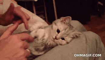 http://media2.giphy.com/media/emqTaUm9vlErK/200.gif