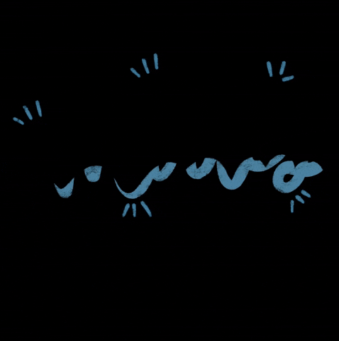 Tuesday GIF