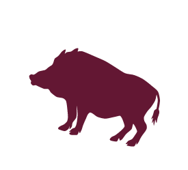 Wild Boar Pig Sticker by aPETite Store