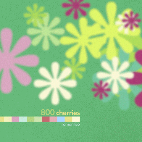 Japanese Music Indie GIF