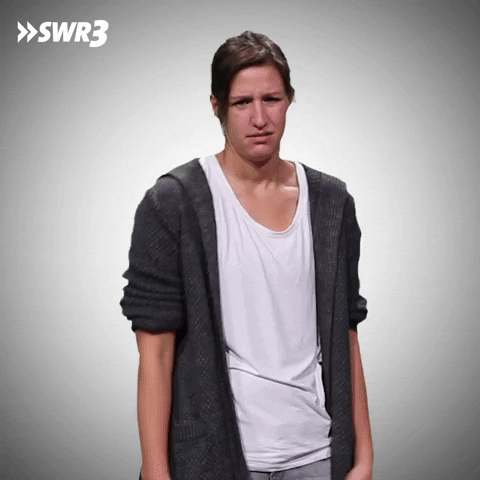 What The Hell Wtf GIF by SWR3