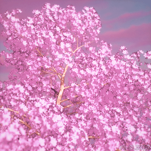 Cherry Blossom Art GIF by Pi-Slices