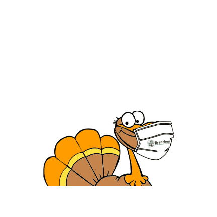 BranchesFL Sticker