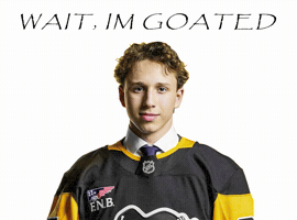 Ice Hockey GIF