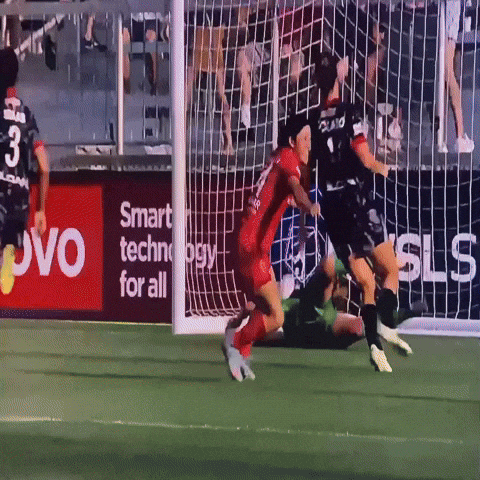 North Carolina Courage GIF