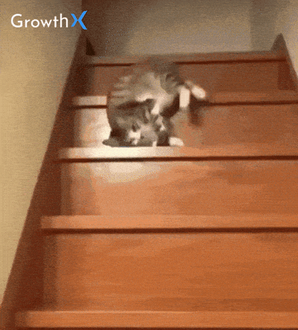 Broken Cat GIFs - Get the best GIF on GIPHY