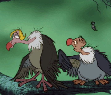 Image: https://media2.giphy.com/media/erW8QpddIk2rK/source.gif The Jungle Book Disney GIF - Find Share on GIPHY