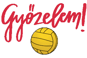 DVSE Vízilabda Sticker