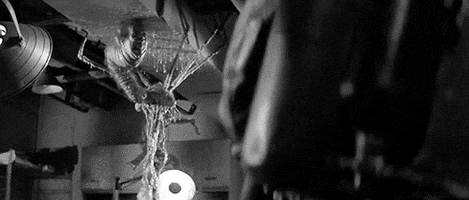 the thing horror GIF