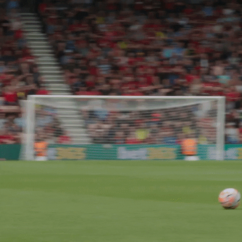 Premier League Wow GIF by AFC Bournemouth