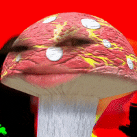 Magic Mushrooms Mushroom GIF