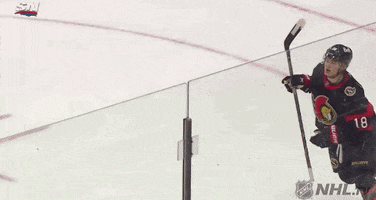 Ice Hockey Hug GIF by NHL