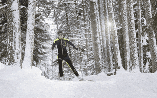 nordic skiing ski GIF by Innsbruck