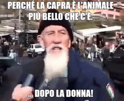 Donna Capra GIF