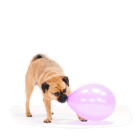 Puppy Dogs Sticker by Petsure UK