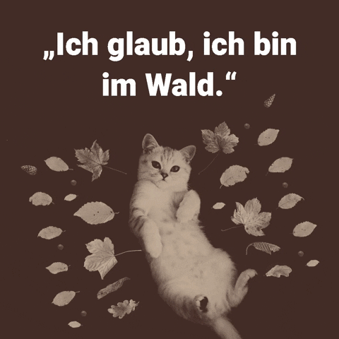goodcatde GIF