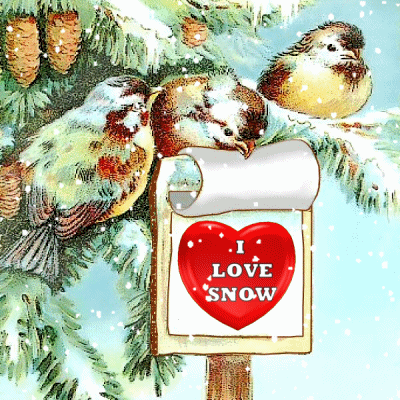 Digital art gif. Snow falls around a painting of three birds perched in a snowy pine tree. One bird lifts a paper sign with a three-dimensional red spinning heart that reads, “I love snow."